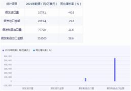 2024体育用品市场新方向趋势分析(图3) 2024体育用品市场新方向趋势分析(图3)