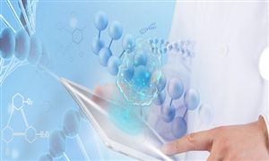 2024体育用品市场新方向趋势分析(图5) 2024体育用品市场新方向趋势分析(图5)