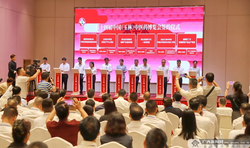 第十四届中国（玉林）中医药博览会暨2024年玉林市端午文化嘉年华开幕(图3)
